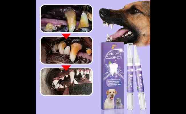 Cvreoz Pet Oral Repair Gel Reviews 2023 Is It Best For Pets?